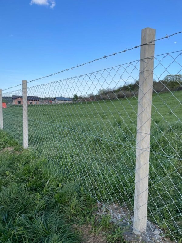 bodljikava žica novi sad